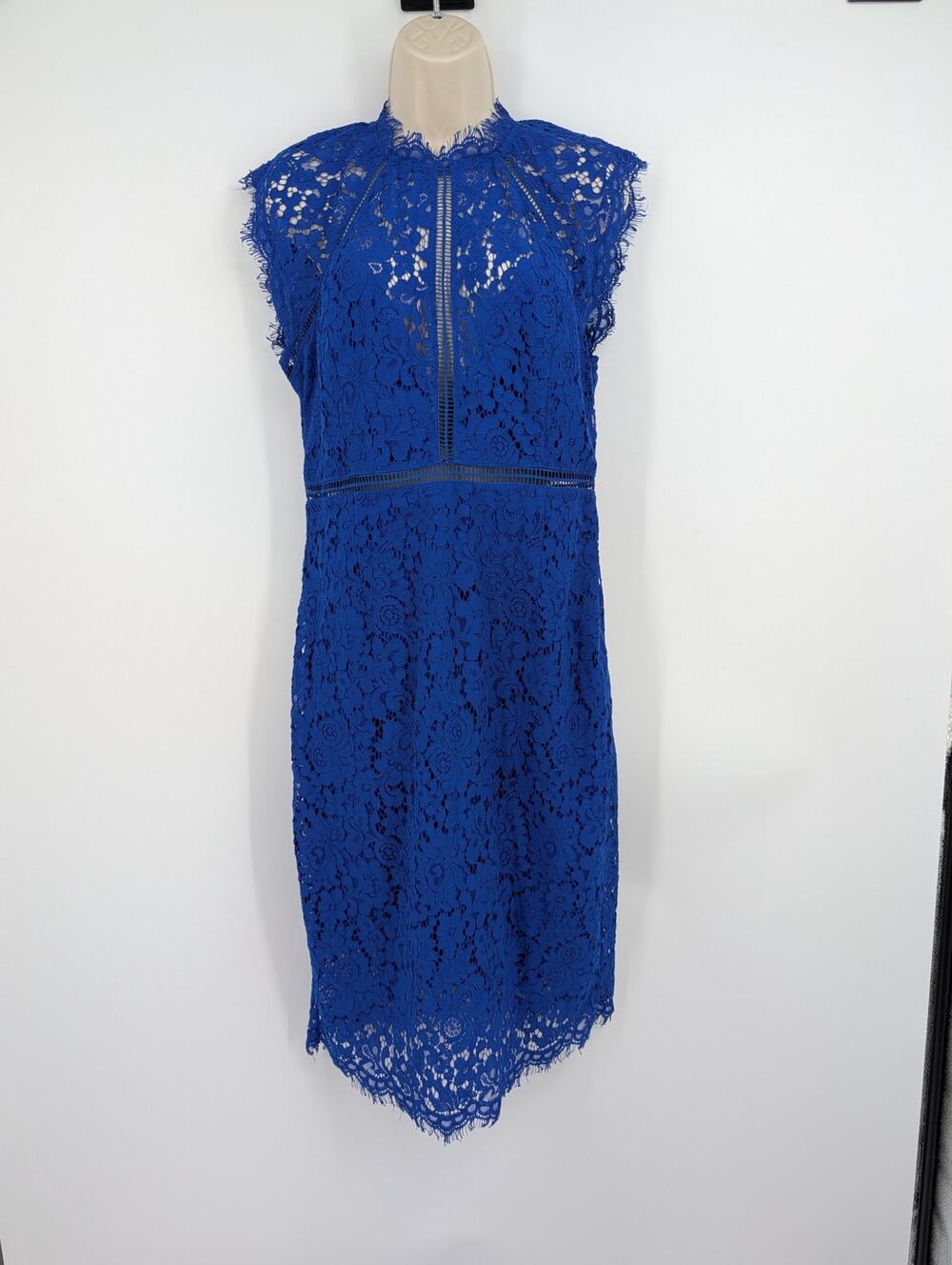 Bardot Lace Panel Dress XL Cobalt Blue Elegant Event Glam Cocktail Prom Gala ***